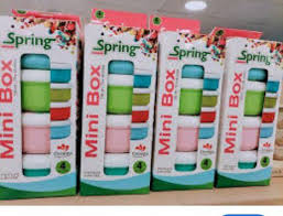 SPRING MINI FOOD CONTAINERS (PACK OF 4)